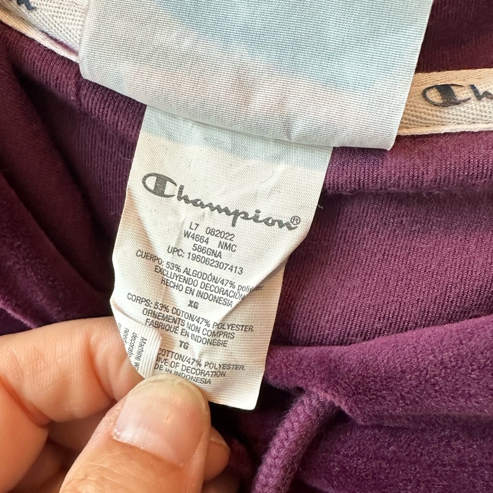 Champion Hoodie - Picture 7 of 14